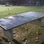 Panoramic